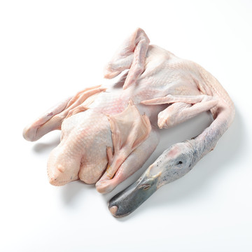 鸭肉