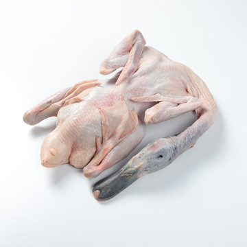 鸭肉