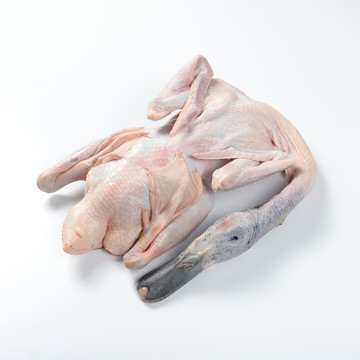 鸭肉