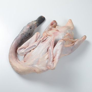 鸭肉