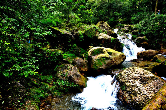 山涧溪流