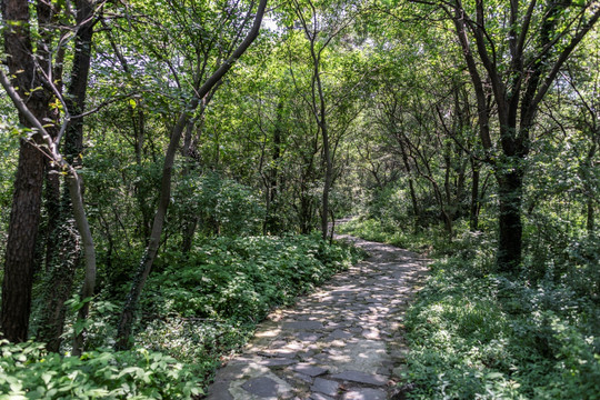 金牛湖风景区