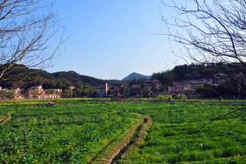 红山村    最美乡村