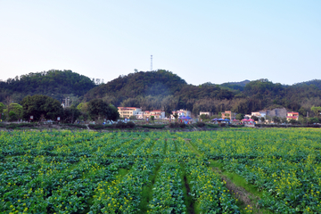 小山村