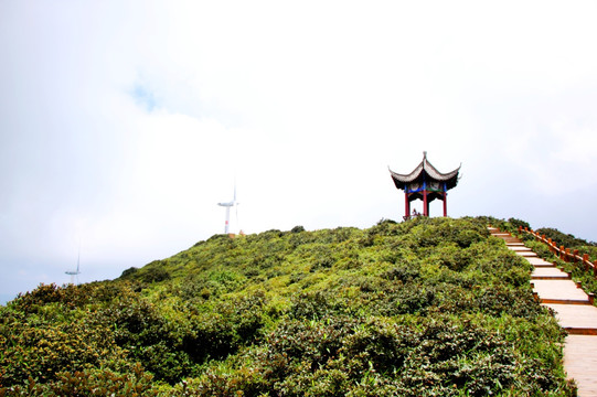 乌蒙大草原