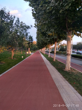 路