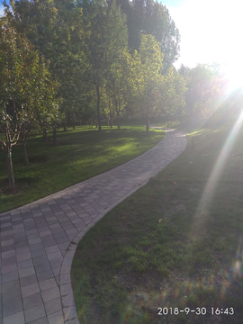 公园小路