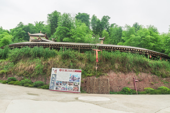 竹林