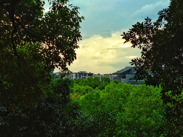 杭州吴山风景