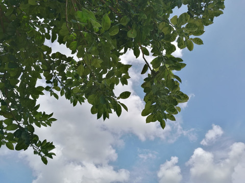 蓝天白云天空背景素材