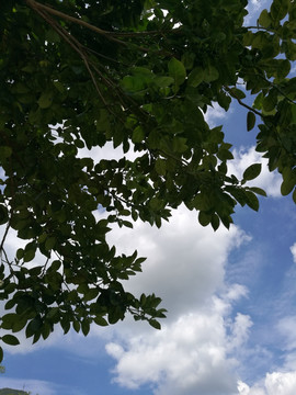 蓝天白云天空背景素材