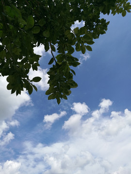 蓝天白云天空背景素材高清