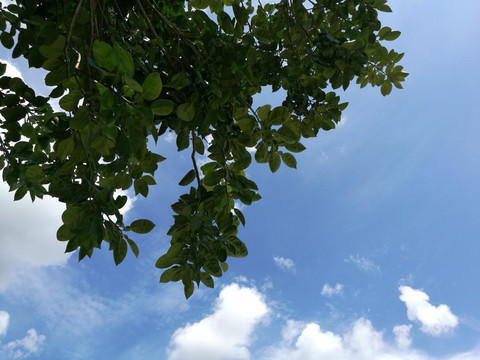 蓝天白云天空背景素材