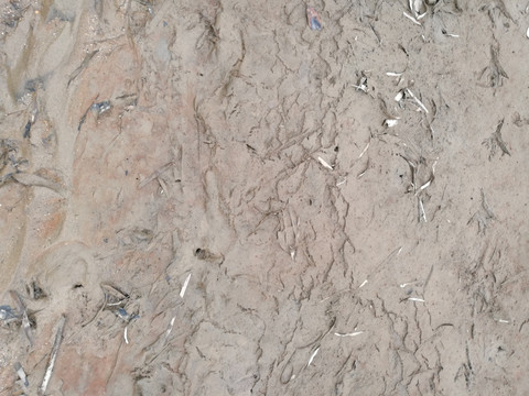 灰色淤泥纹理背景素材高清