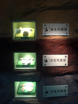 生物展厅