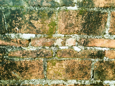 旧砖墙