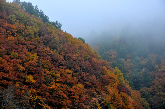 雾锁群山