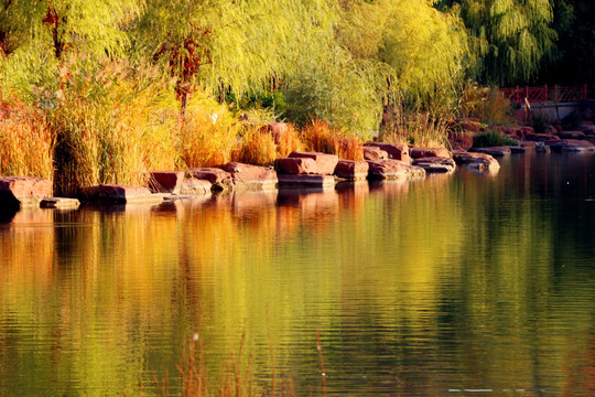 美丽湖景