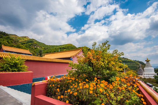 寺院