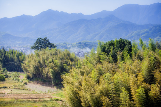 远山田野风光