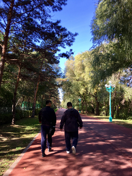 太阳岛林间小路