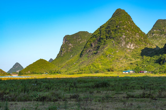 荒野风景