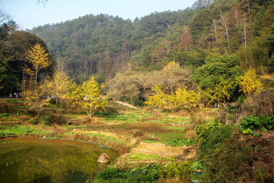 帽子峰林场