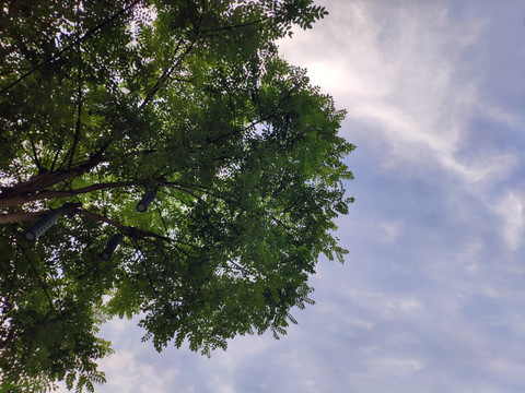 天空