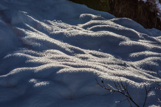 雪地