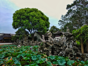 苏州园林风景