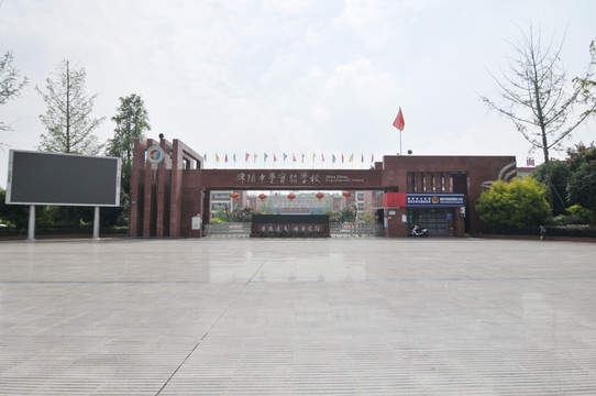 绵阳中学实验学校