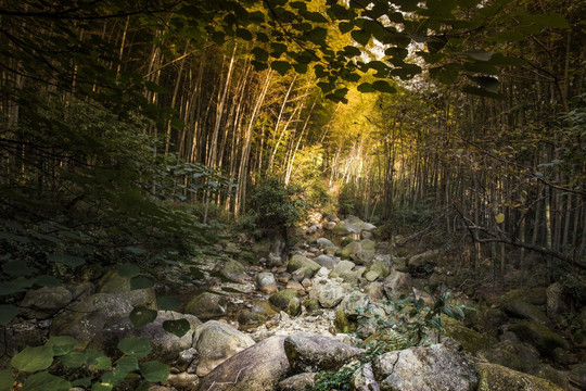 宜春南惹古村