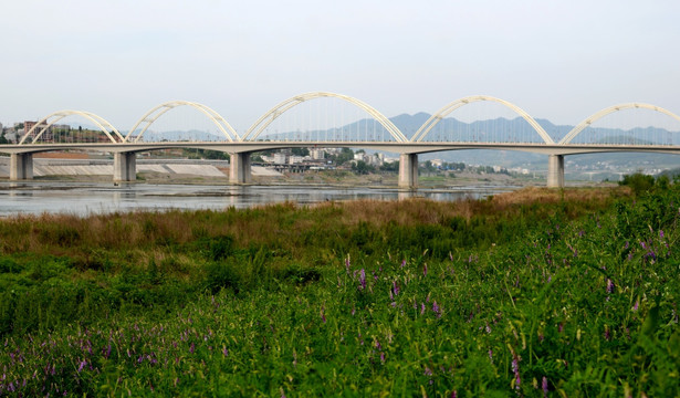 安康东坝大桥