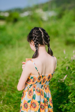 田野里的小清新