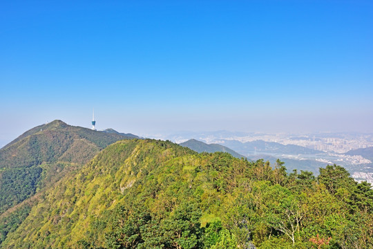 深圳梧桐山