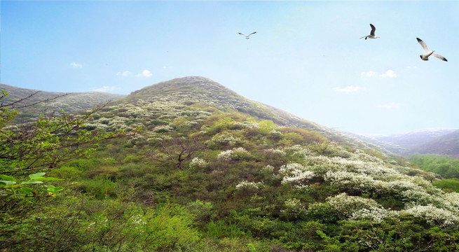 山背景