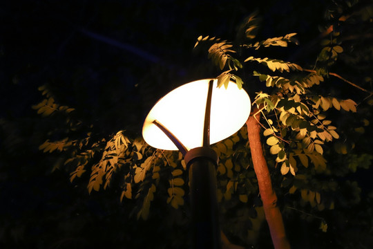 夜晚路灯