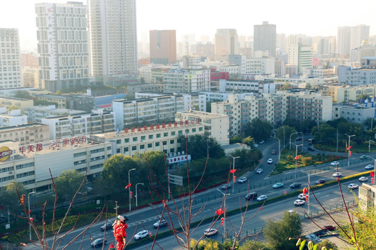 乌鲁木齐红山远眺看美景