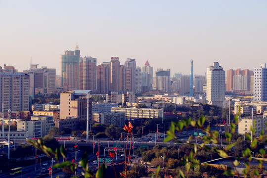 乌鲁木齐红山远眺看美景