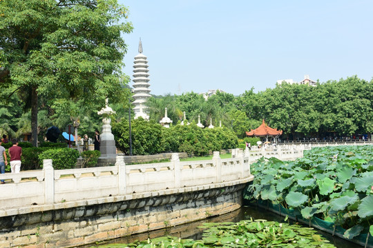 福建南普陀寺荷花池塘