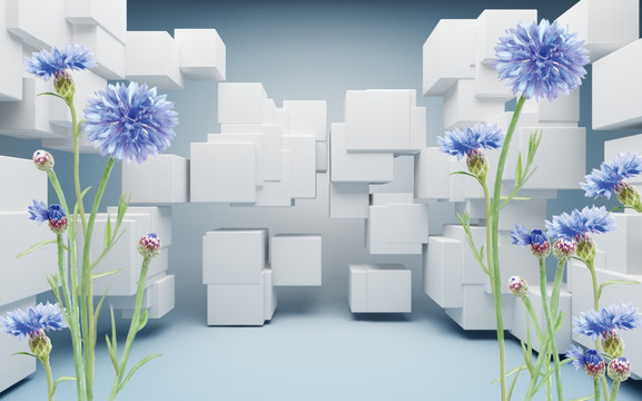 3D立体方块蓝色雏菊小菊花
