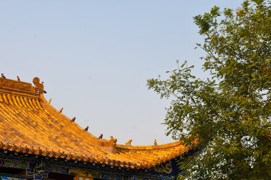中国古建筑飞檐斗拱屋顶