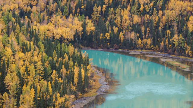 喀纳斯景区月亮湾秋景