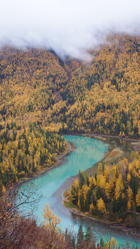 新疆喀纳斯风景区月亮湾