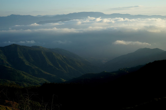 高山云雾