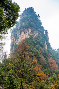 张家界武陵源天子山