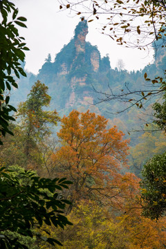 张家界武陵源天子山