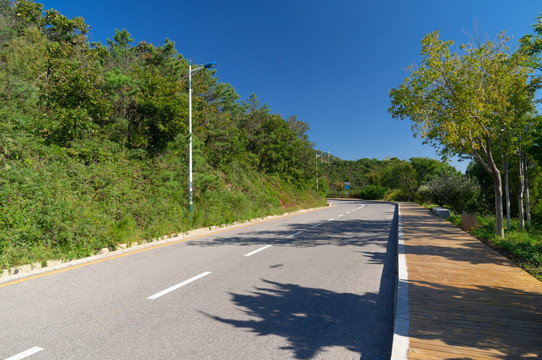 大连滨海路道路背景无人