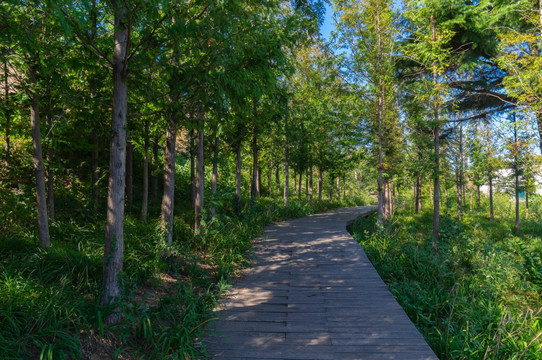 大连滨海路风光