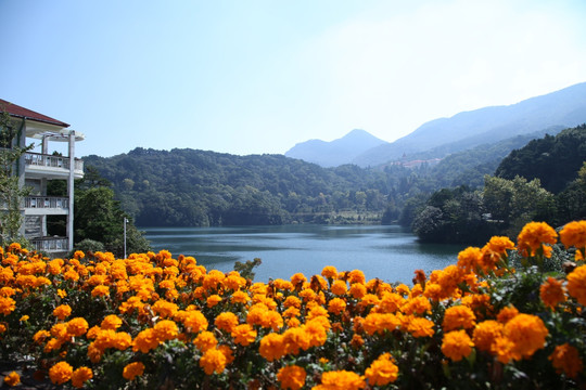 度假酒店风景